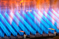 Warburton gas fired boilers